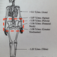 Image for article titled How Long Can You Stay in Space, and What Happens If You Stay Too Long?